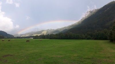 20200922_154803.jpg